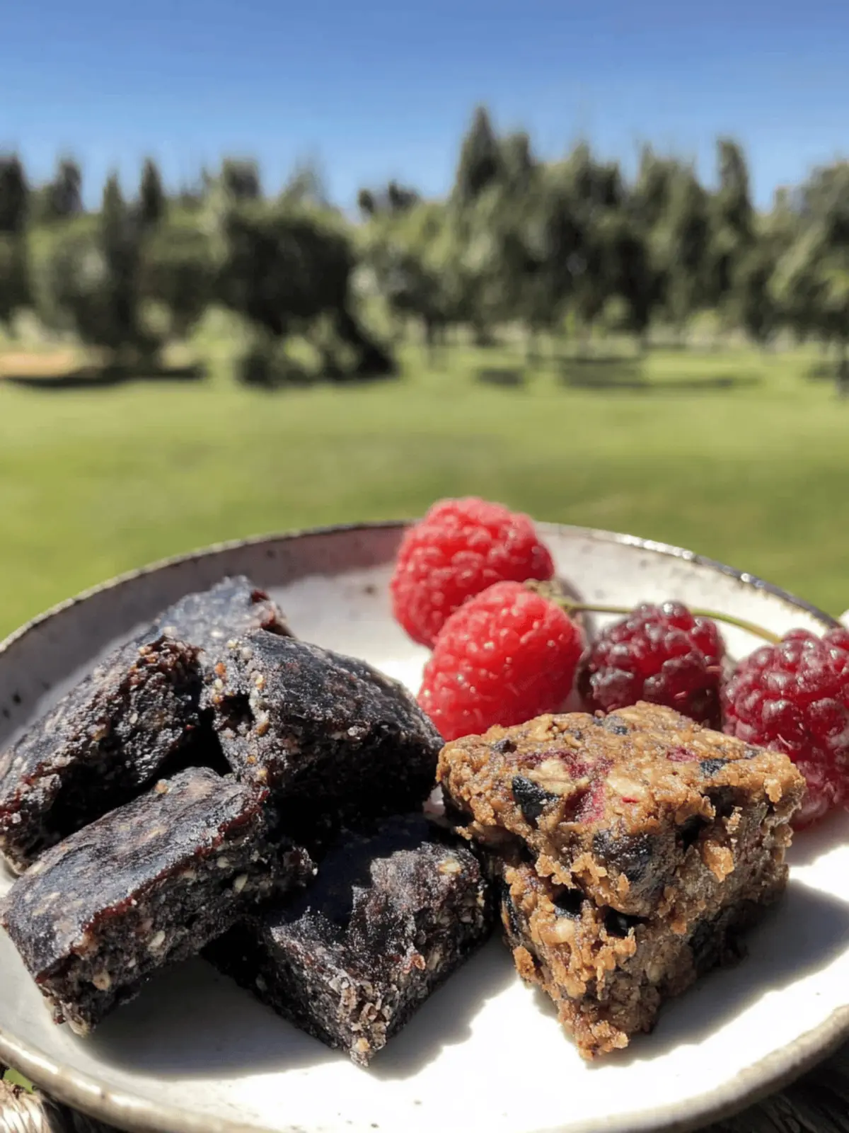 Pemmican With Fruit