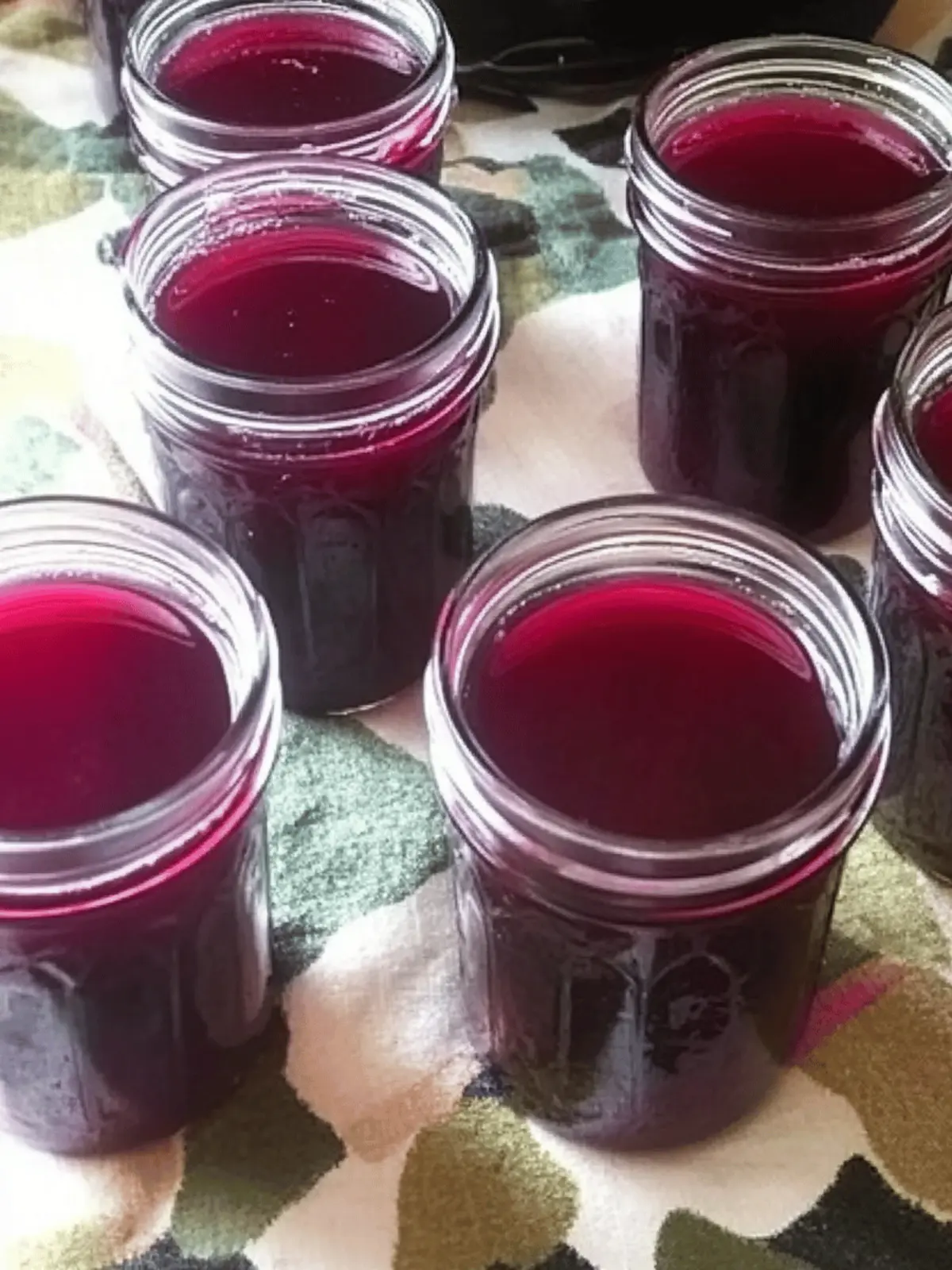 Prickly Pear Cactus Jelly