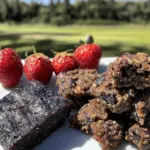 Pemmican With Fruit