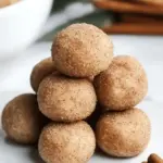 Snickerdoodle Protein Bites