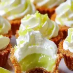 Indulge in Irresistible No-Bake Mini Key Lime Pies Today 9 Indulge in Irresistible No-Bake Mini Key Lime Pies