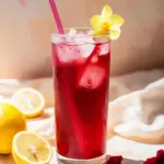 Refreshing Hibiscus Lemonade: Your Ultimate Summer Sip 10 Hibiscus Lemonade
